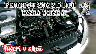 Peugeot 206 2.0 HDI | bežná údržba - Fušeri v akcii ...