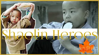 SanBao's Life at Shaolin Temple | Shaolin Heroes | episode 1
