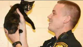 Livonia police officer rescues cat along I-96