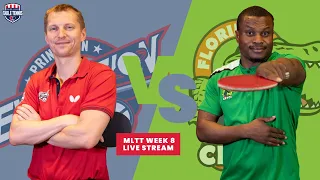 Major League Table Tennis Week 8 Live Stream | Princeton vs. Florida