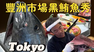 東京豐洲市場巨大鮪魚分解秀