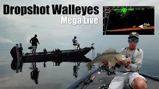 Mega Live Dropshot Walleyes