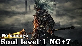 SL1 NG+7 Nameless King No Blocking/Parrying/Damage