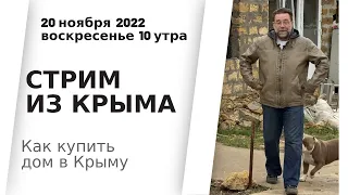 СТРИМ из Крыма 20 ноября 2022 | купить дом в КРЫМУ