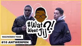 #WATWEETJIJ?! | #10 ANTWERPEN (WAUWZERS TOUR!)