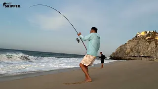 INSANE Surf Fishing Vacation! 7 Days in Cabo San Lucas | Catching + Cooking Fresh Fish