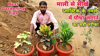 माली से सीखे प्लास्टिक के गमले में पोधा लगाने का सही तरीका ।। Best Gardening Tips