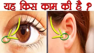 आपके शरीर के ऐसे अंग जो असल में उपयोगी हैं | Strange Body Parts You Have For Some Reason - FactTechz