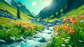 Deep Relaxation Music 24/7 - Stop Overthinking, Stress Relief Music, Sleep Music, Calming Music