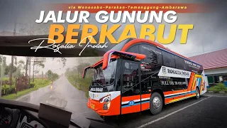 JALUR INDAH LERENG GUNUNG SINDORO SUMBING !! 😍 - Trip Rosalia Indah | Purwokerto-Malang (Part 2)