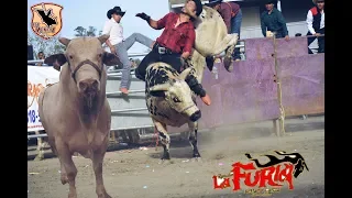 !!Los Furiosos de Rancho La Furia de Mario Garcia¡¡ Jaripeo estilo Michoacan en Santa Rosa CA