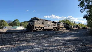 NS 056 Military Train with Dash 9 Leading