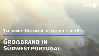 Brand in Südwestportugal - tausende Hekar Vegetation zerstört | AFP