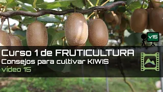 Consejos para cultivar KIWIS Curso básico de FRUTICULTURA 2020: Capítulo 15 | LdN