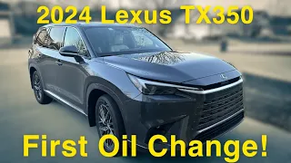 2024 Lexus TX 350 Oil Change