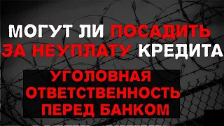 Могут ли арестовать за неуплату кредита.Уголовная ответственность за долг перед банком.