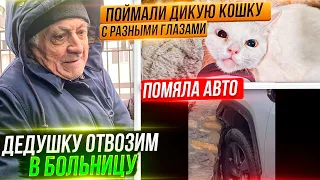 Капе становится лучше, готовлю документы для Хаси и Милы. Ударила машину. Получили посылку.