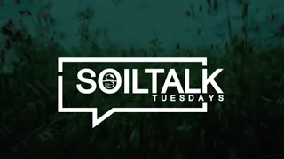 Soil Talk: Wide Row Corn, Intercropping & Relay Cropping