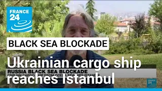 Russia Black Sea blockade: Cargo ship from Ukraine’s Odesa port reaches Istanbul • FRANCE 24