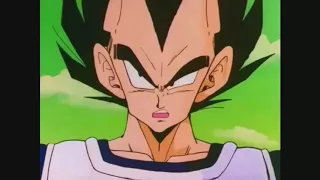 Los mejores insultos de vegeta!