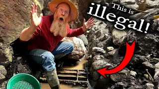 I found MORE illegal ground sluice with GOLD!