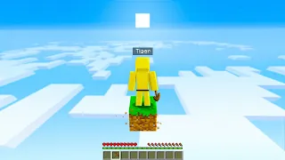 Playing MINECRAFT on ONLY 1 BLOCK!