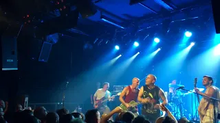 Shelter - Appreciation (9/8-2018, live in Berlin)