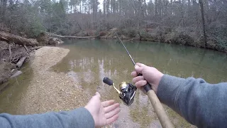 TROUT Fishing a BEAUTIFUL Mountain Stream!