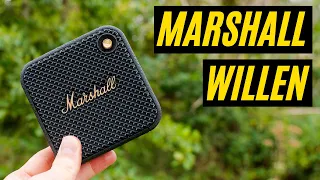 Marshall Willen: All YOU Need to Know in Under 5 Minutes!