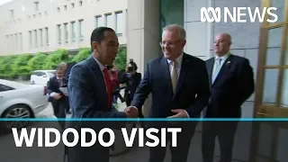 More Parliament instability despite Indonesian President Widodo's Canberra visit | ABC News