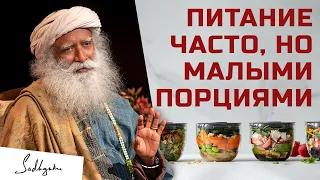 Питание часто, но малыми порциями | Садхгуру