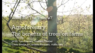 Agroforestry: The Benefits of Growing Trees on Farms, Wood For The Trees #7