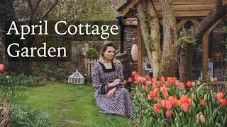 April Cottage Garden - Tulips Everywhere! Spring Flowers & Growing Vegetable Plants