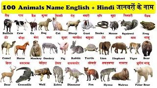 100 animals name in english and hindi with Pictures | 100 जानवरों के नाम हिन्दी और अंग्रेजी में |