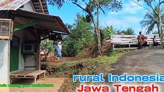 suasana pagi hari di pedesaan Jawa Tengah |  kicauan burung & Kokok ayam nambah betah suasana