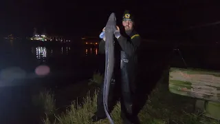 Sea Fishing | New Years Day Conger Eel Madness ((PB ALERT))