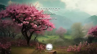 Enharmor - Blossom (Extended Mix)