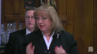 School Cuts Speech - Westminster Hall Debate on e-petition 232220