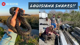 Flipping Trash for Snakes in Louisiana! Speckled Kings, Cottonmouths, and More! Spring Herping 2021