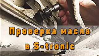 Продольный S-tronic проверка уровня масла. DL501 KLL NGV