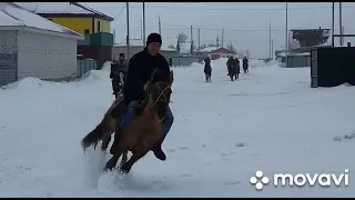 Жігіт екен