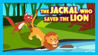 THE JACKAL WHO SAVED THE LION - ENGLISH STORIES || KIDS HUT STORIES- MORAL STORIES