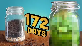 How a Jar of Dirt Turned Into an Ecosystem