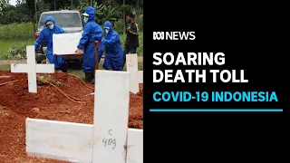 Families turn to cremations as Indonesia's rising COVID death toll fills up cemeteries | ABC News