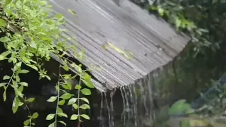 2 hours of rainfall on a tin roof.