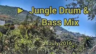 ► Jungle Drum & Bass Mix - July 2017