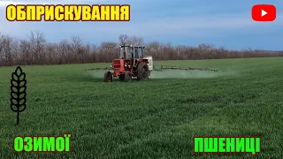 ВНЕСЕННЯ КАРБОМІДУ ТА ГІРБІЦИДУ-ФУНГІЦИДУ НА ОЗИМУ ПШЕНИЦЮ "МЕЛОДІЮ ОДЕСЬКУ" | ЮМЗ-6 + ОПРИСКУВАЧ |