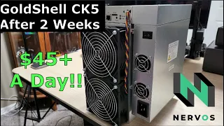 Goldshell CK5 After 2 Weeks - $45+ Daily Profit! [It's Just Getting Started]