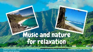 Gentle music, calms the nervous system - healing music for the heart and blood