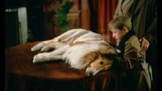 Lassie 2005 [music video]